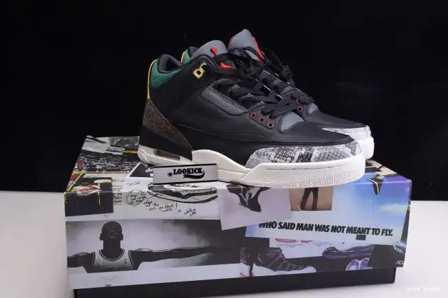 Rep Air Retro 3 Animal SE CV3583-003 Jordan 2.0 Instinct - 0512